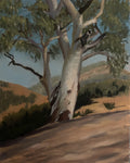 Gum Tree