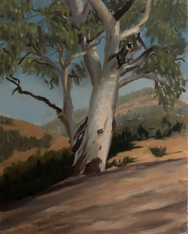 Gum Tree